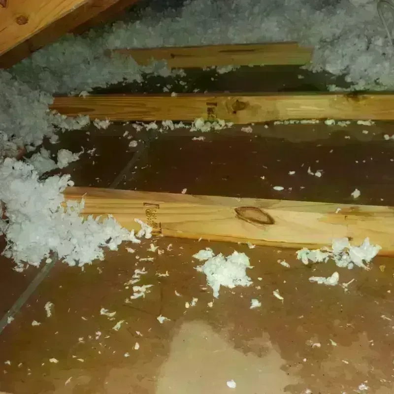 Attic Water Damage in Kapaa, HI